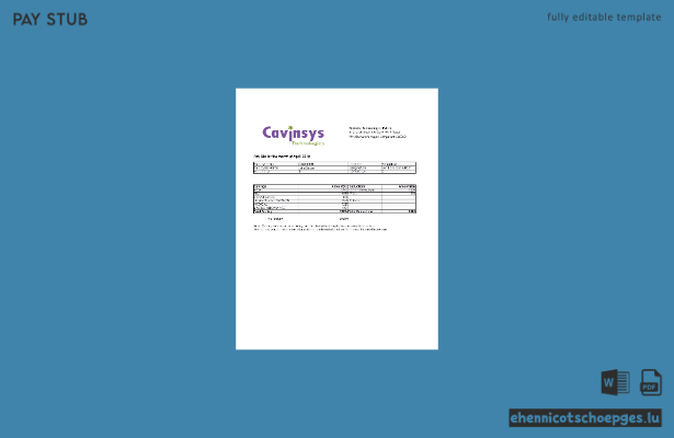 Gehaltsabrechnungsbeispiel von Cavinsys Technologies Pvt Ltd, Indien